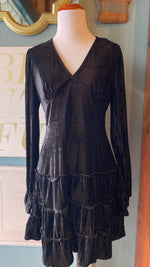 Olivaceous Black Velvet Dress