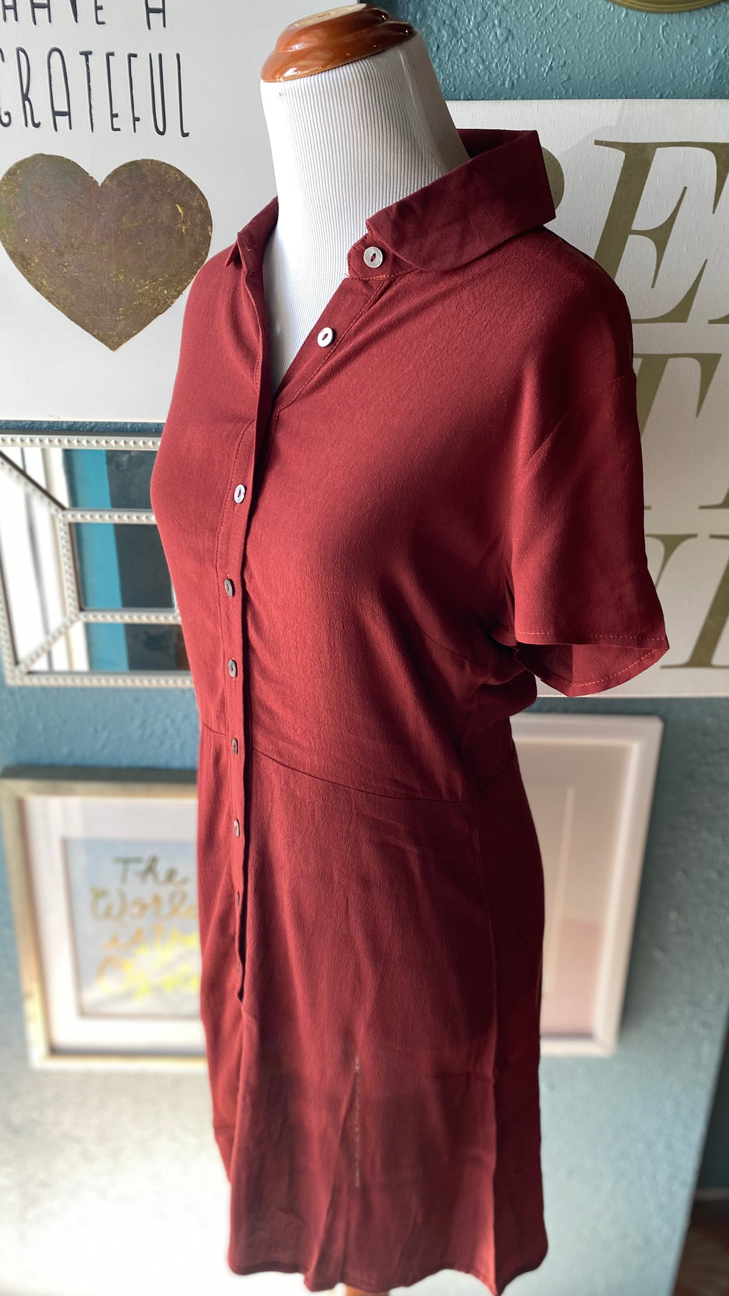 Olivaceous Sumac Button Up Dress