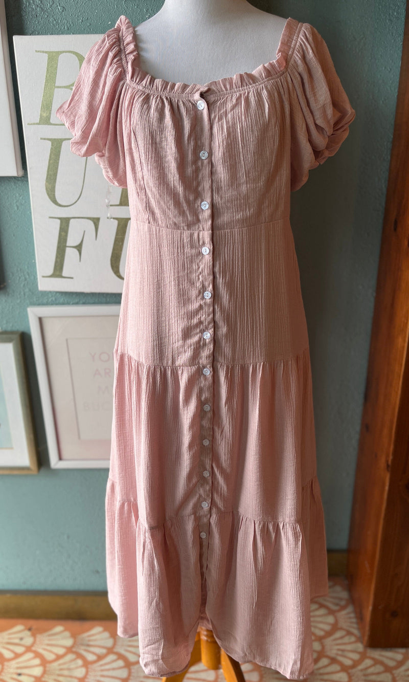 CY Blush Button Down Dress