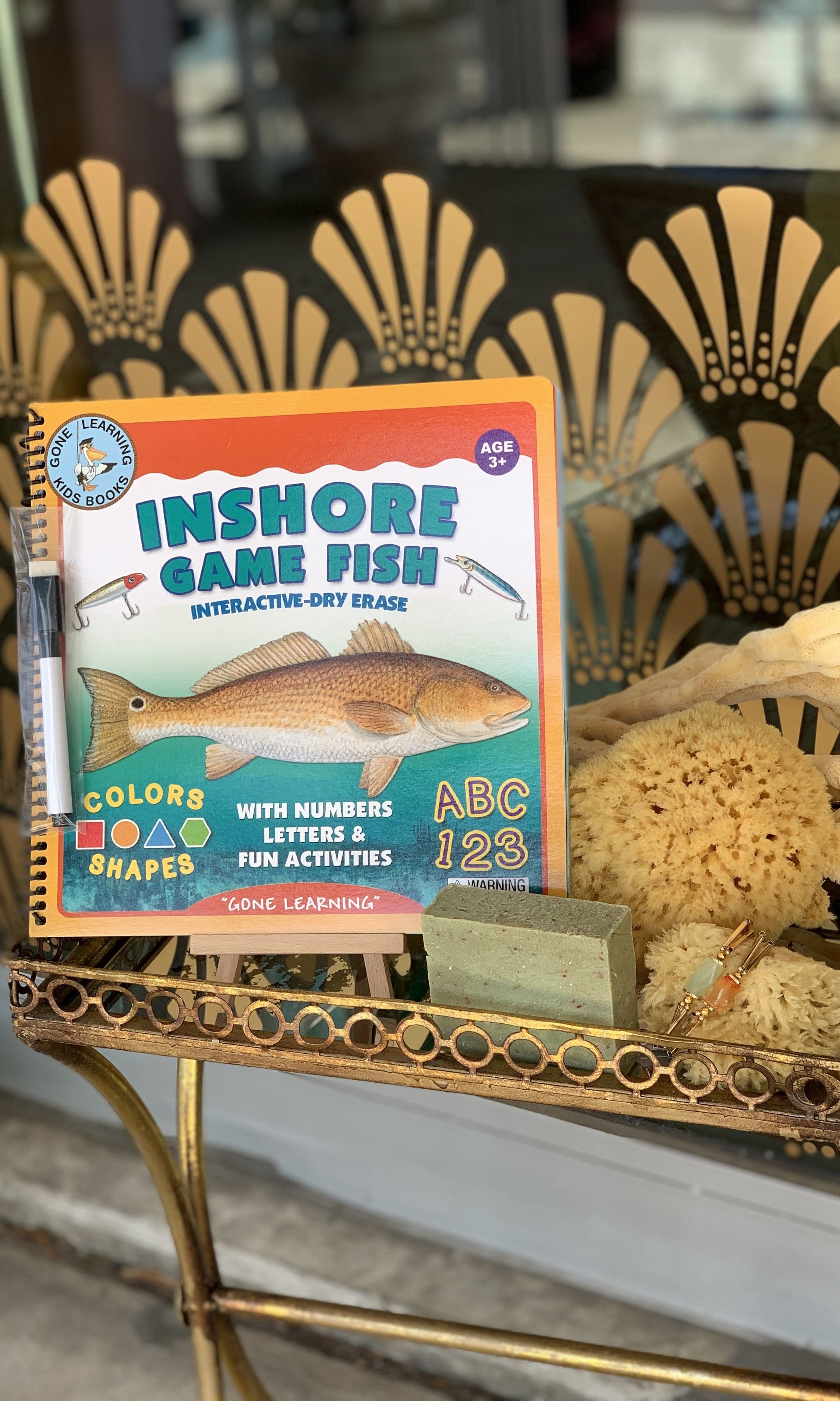 INSHORE Game Fish Interactive Dry Erase Children's Book – SHELLSHOP