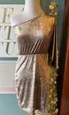 Gilli Silver Velvet One Shoulder Dress